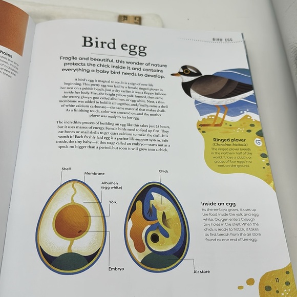 Nature’s Treasures-Tales of more than 100 Extraordinary Objects from Nature - Picture 12 of 14